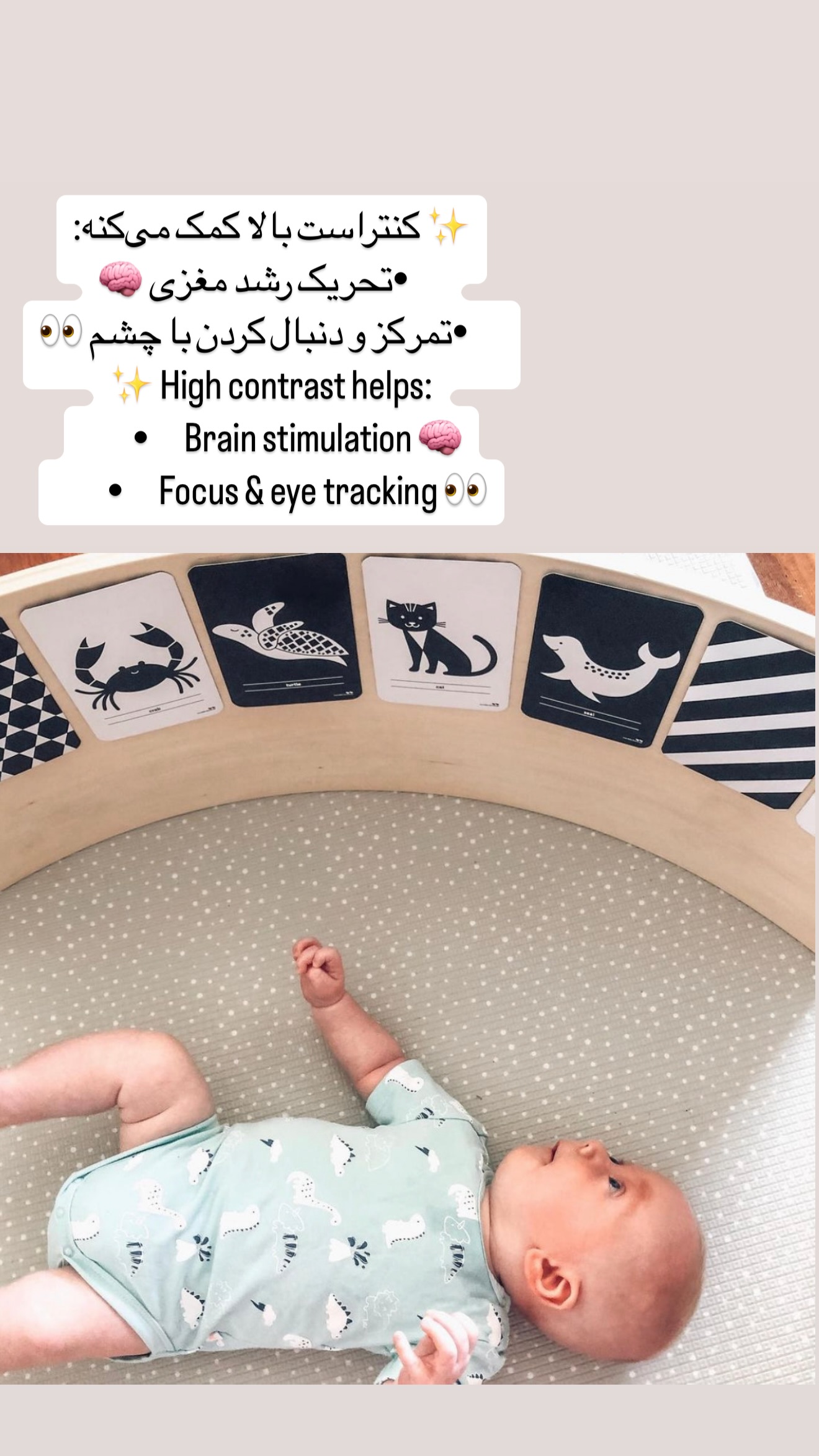  جدید ترین استوری اینستاگرام ریحانه شاهانجین