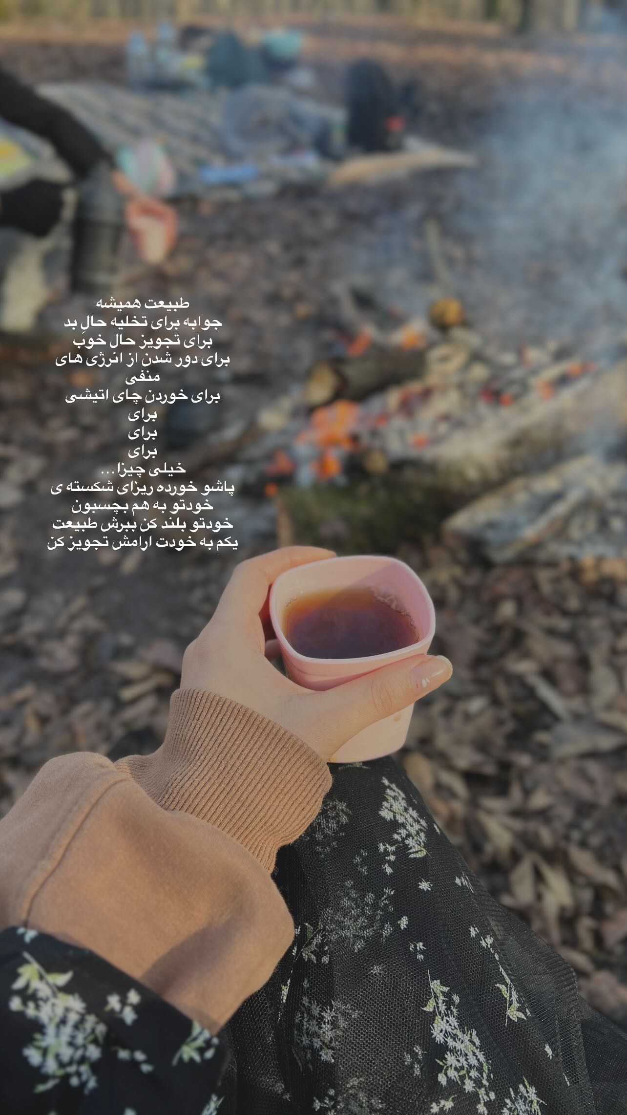  جدید ترین استوری اینستاگرام فاطمه سادات حسینی
