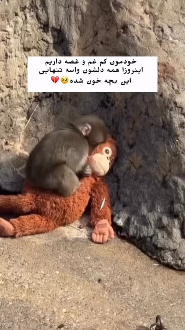  جدید ترین استوری اینستاگرام صادق فاطمی