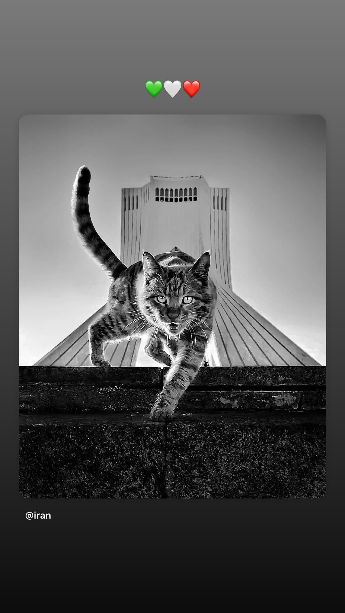  جدید ترین استوری اینستاگرام ساعد سهیلی