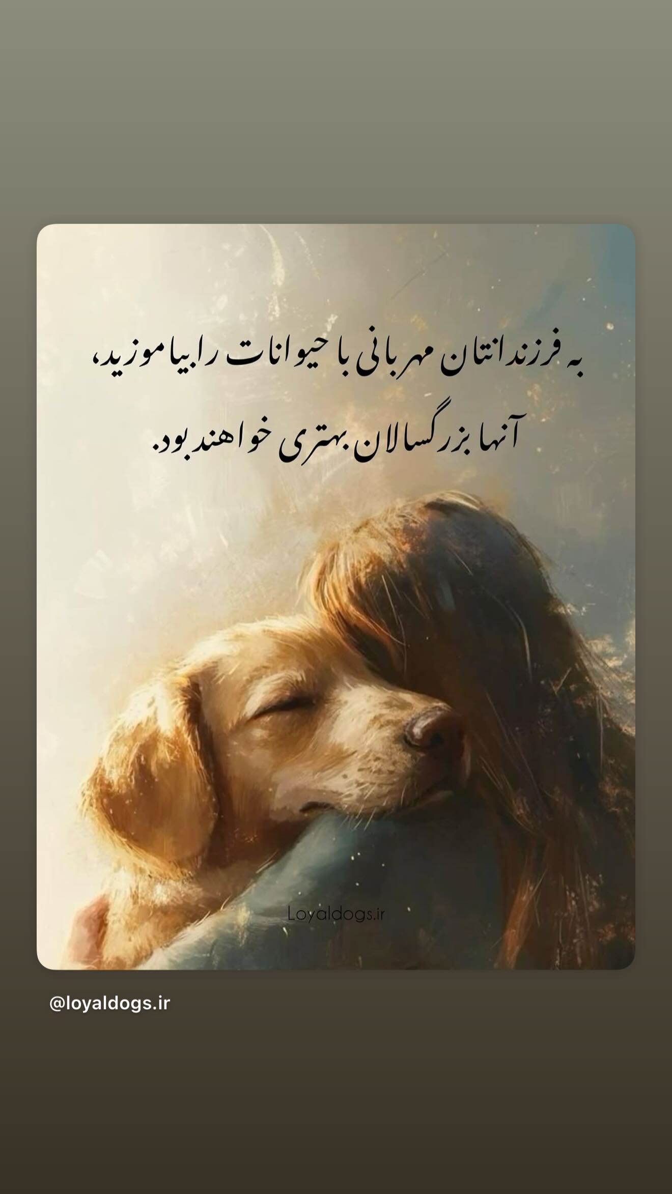 جدید ترین استوری اینستاگرام ساعد سهیلی
