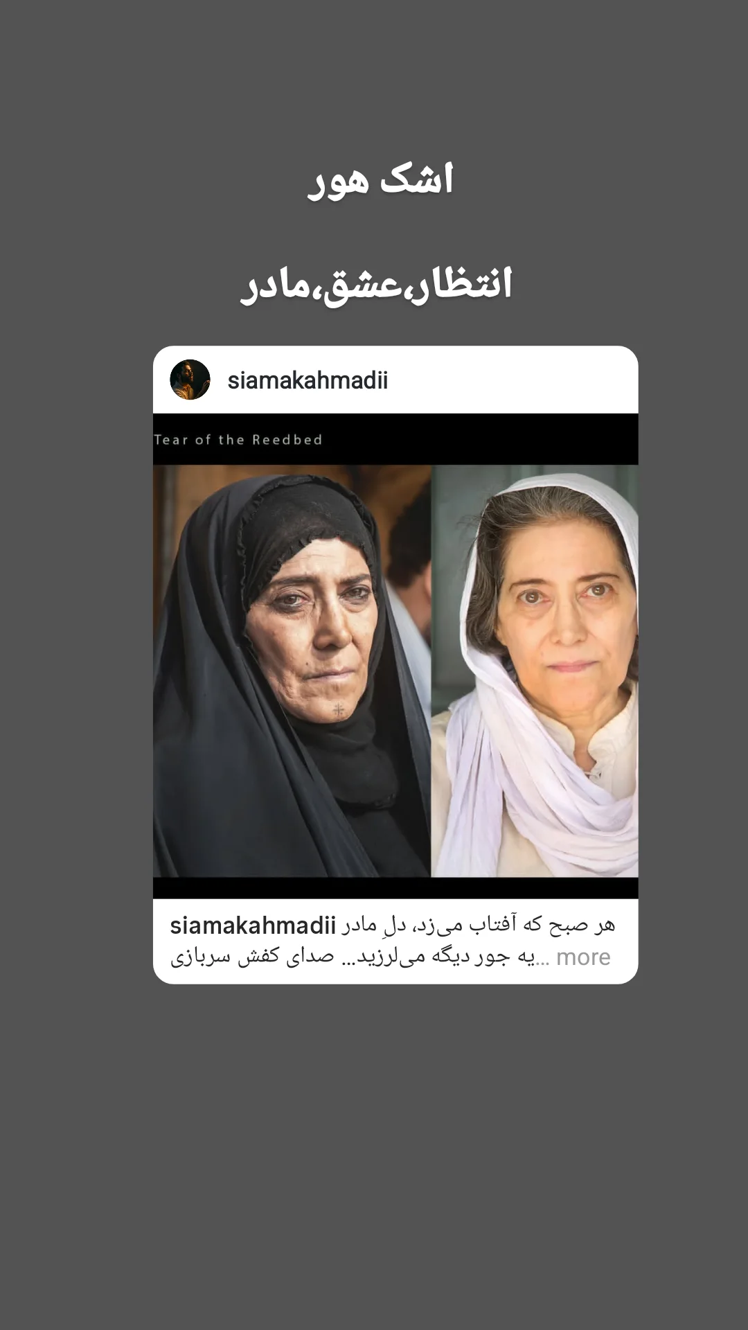  جدید ترین استوری اینستاگرام سعید بجنوردی