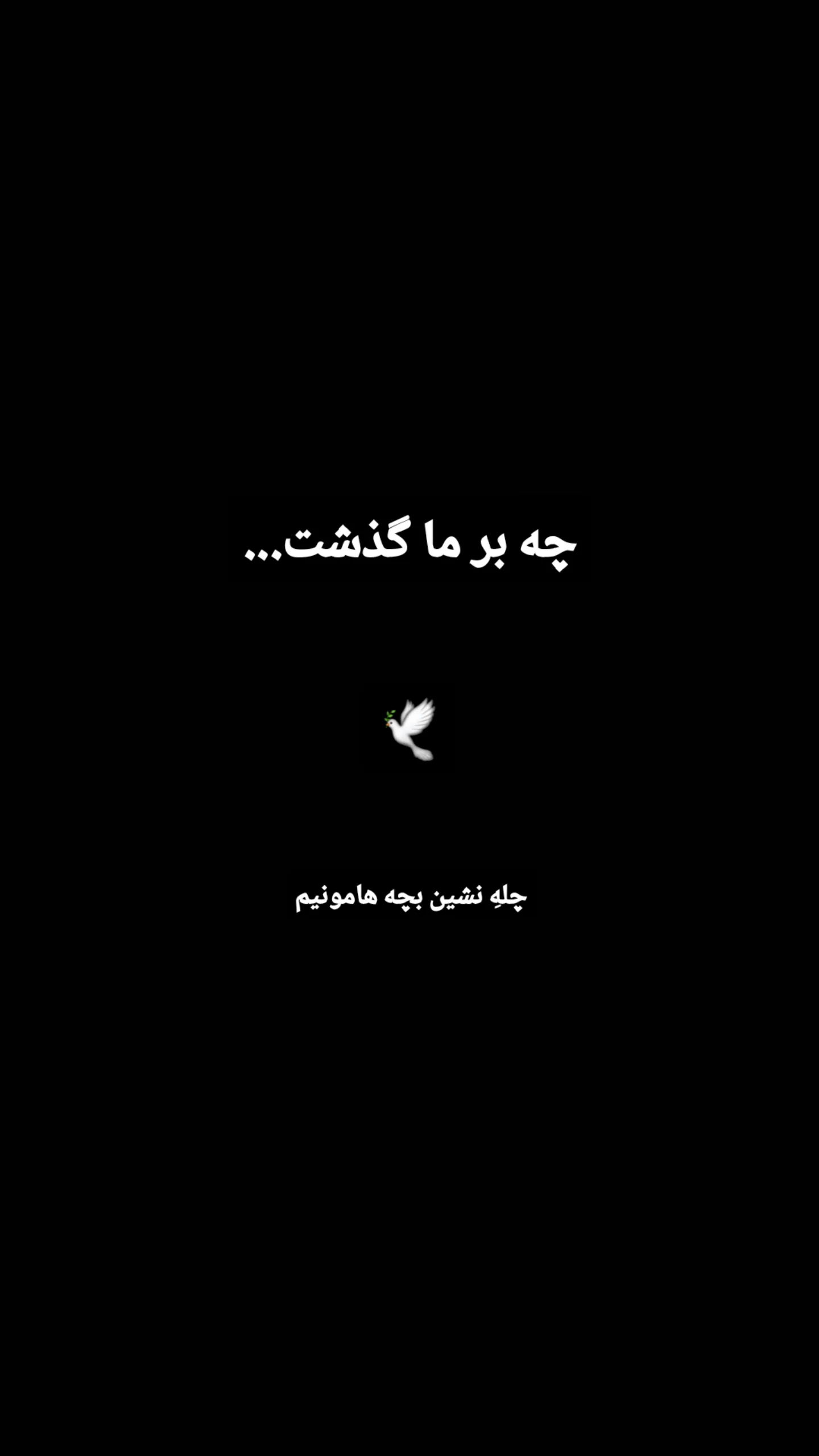  جدید ترین استوری اینستاگرام سعید بجنوردی