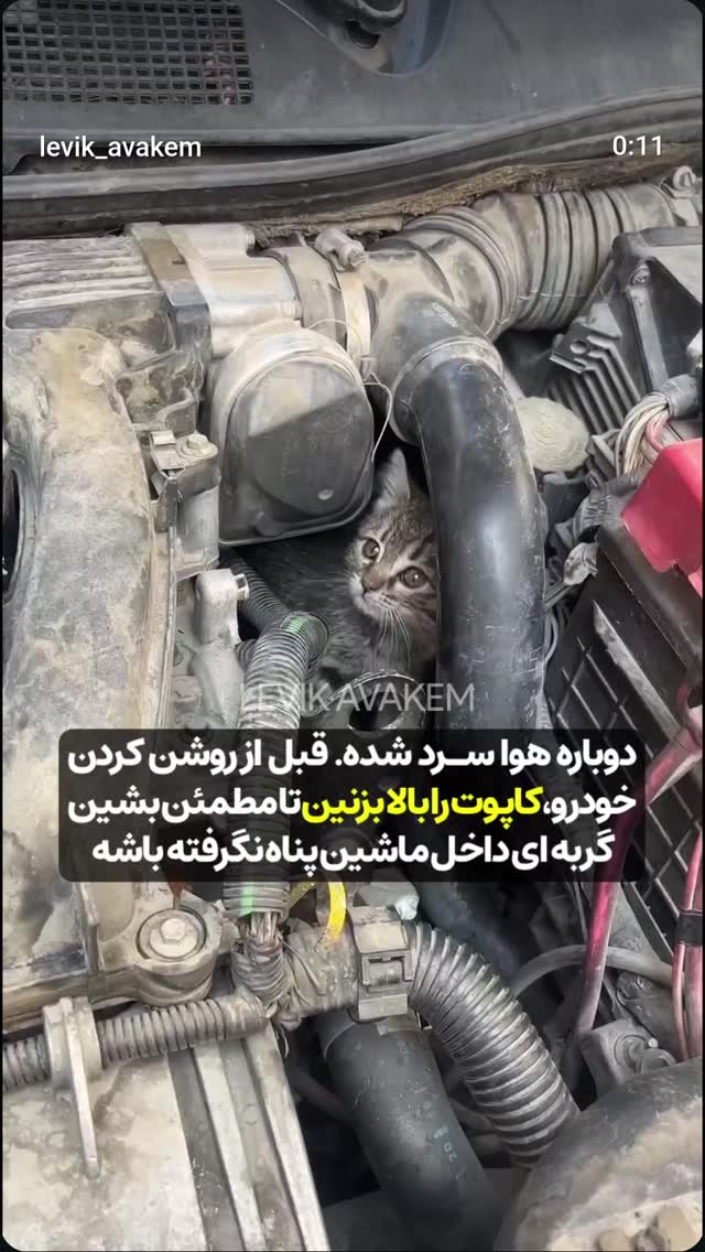  جدید ترین استوری اینستاگرام سعید نبوی
