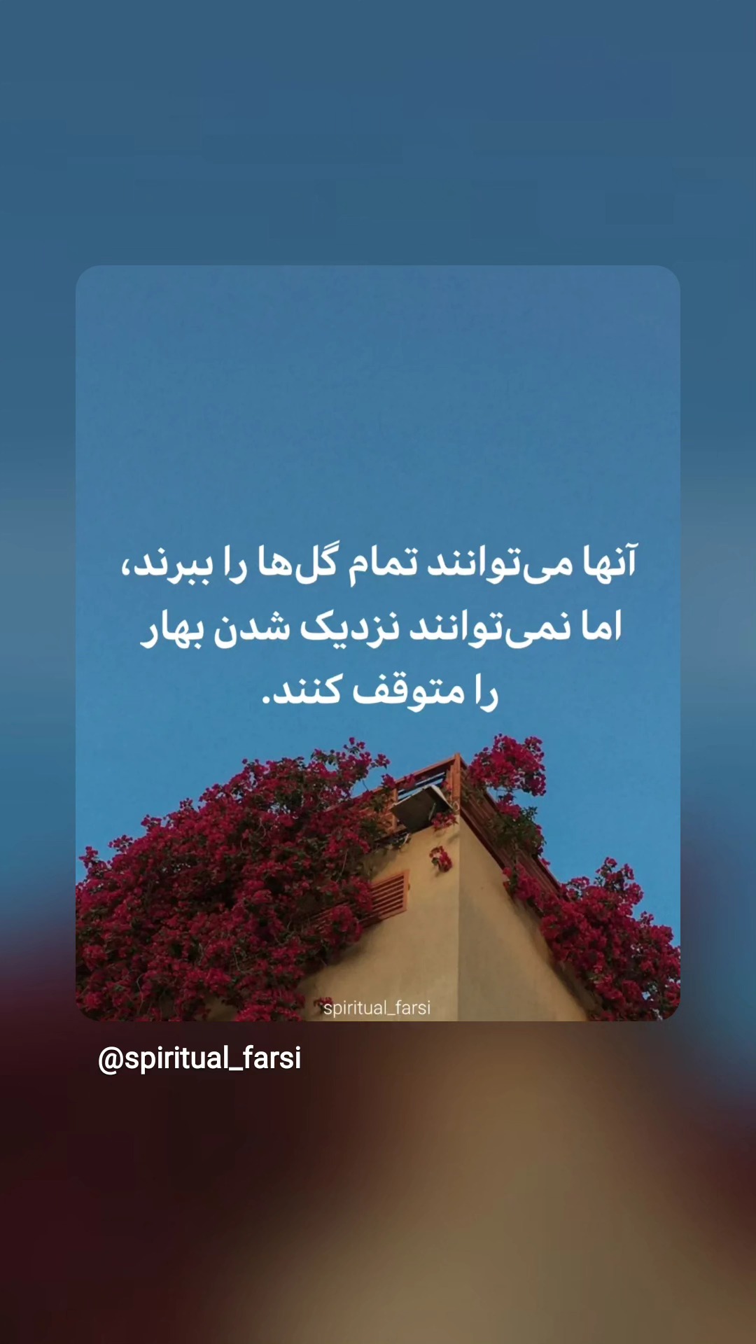  جدید ترین استوری اینستاگرام سعید نبوی