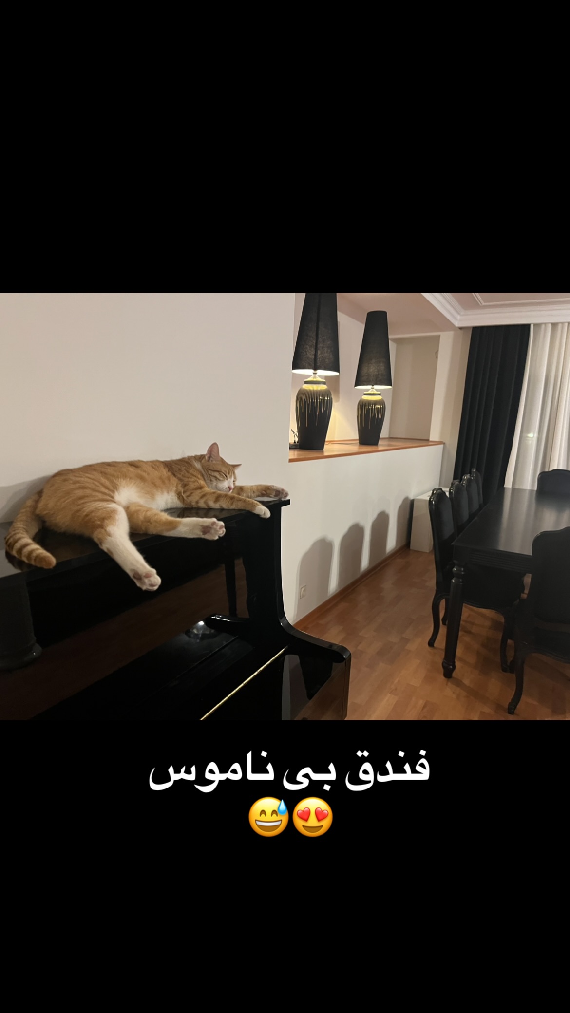  جدید ترین استوری اینستاگرام سعيد ميرزايى