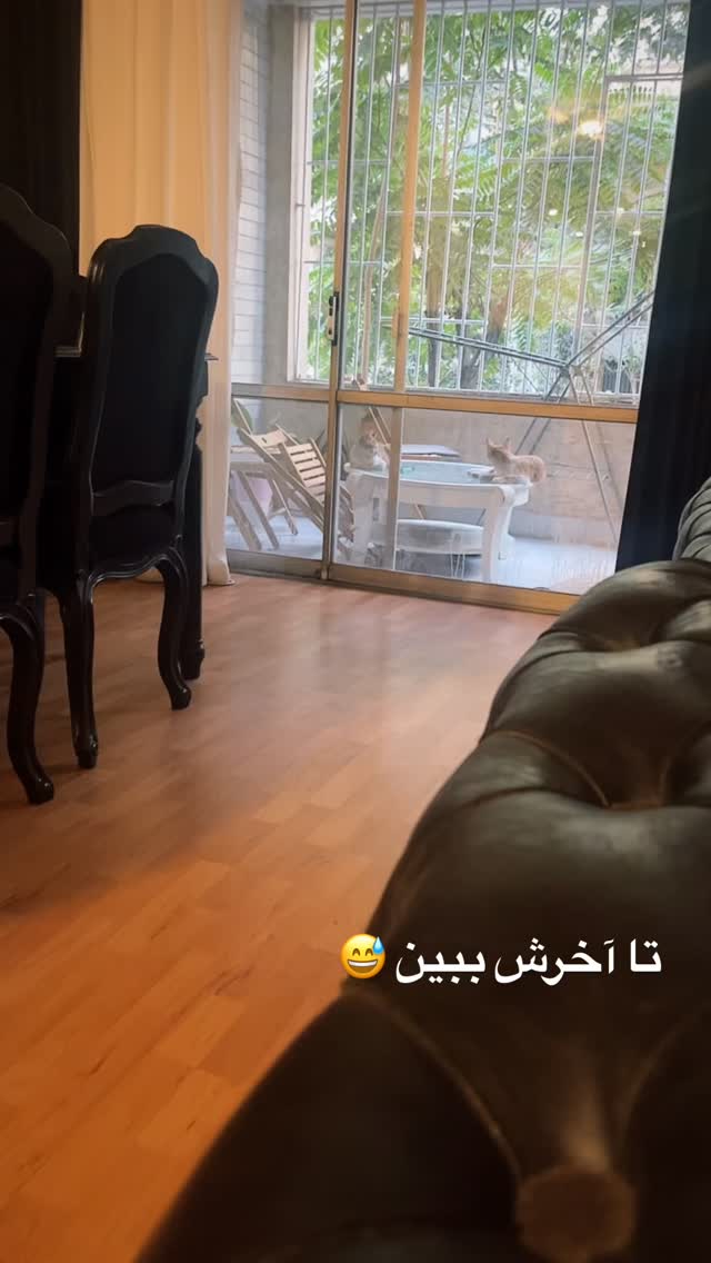  جدید ترین استوری اینستاگرام سعيد ميرزايى