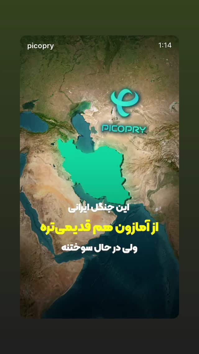  جدید ترین استوری اینستاگرام سعید روستایی