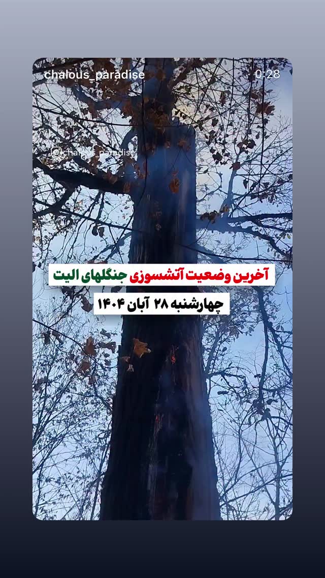  جدید ترین استوری اینستاگرام سعید روستایی