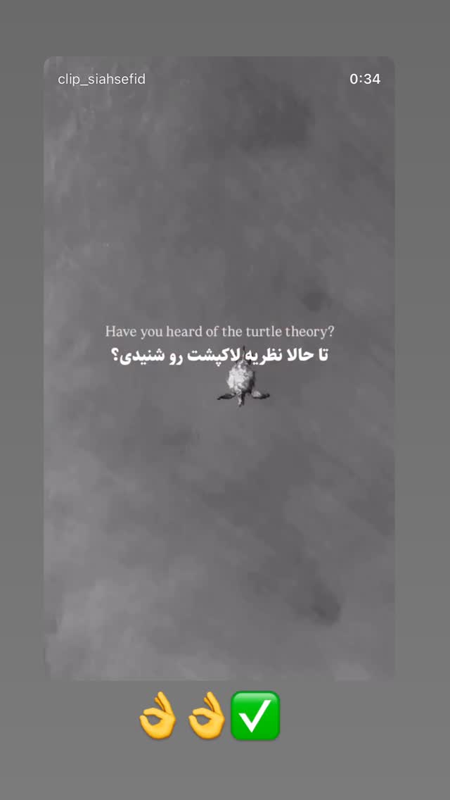  جدید ترین استوری اینستاگرام سعید دقیقی