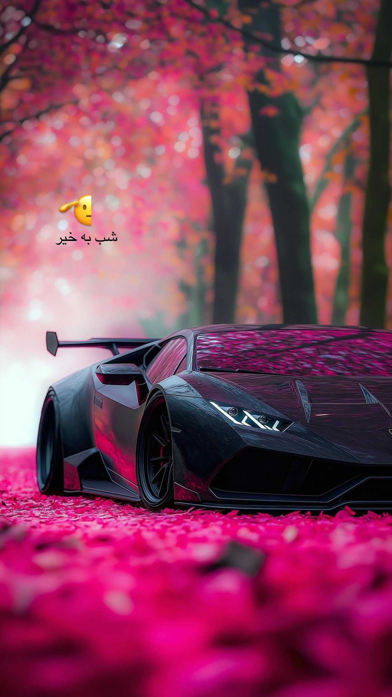  جدید ترین استوری اینستاگرام سعید پاور