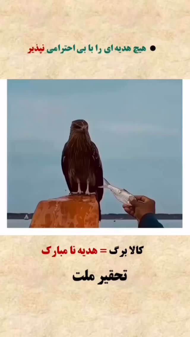  جدید ترین استوری اینستاگرام مهدی صفایی