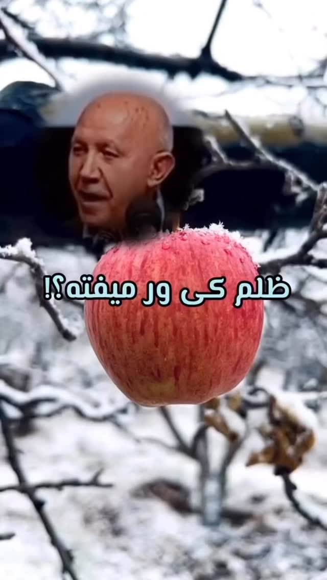  جدید ترین استوری اینستاگرام مهدی صفایی