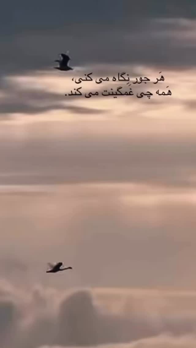  جدید ترین استوری اینستاگرام مهدی صفایی