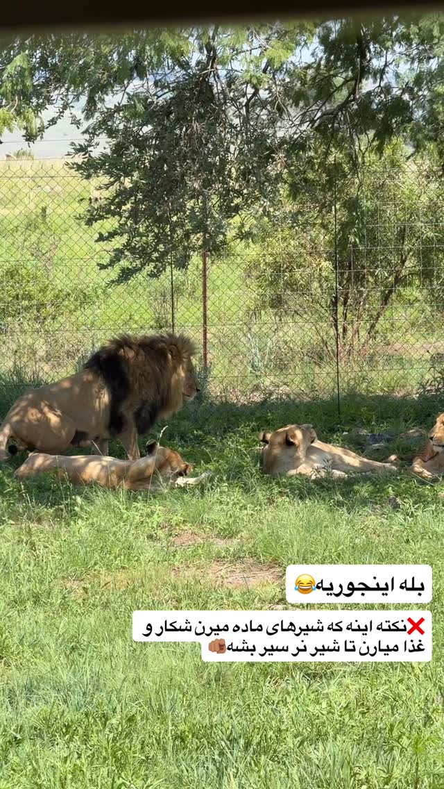  جدید ترین استوری اینستاگرام سفر میریم