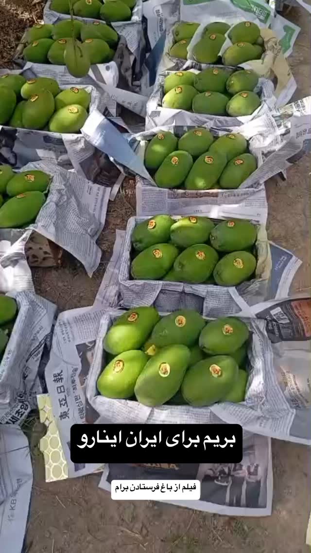  جدید ترین استوری اینستاگرام صفی صافی