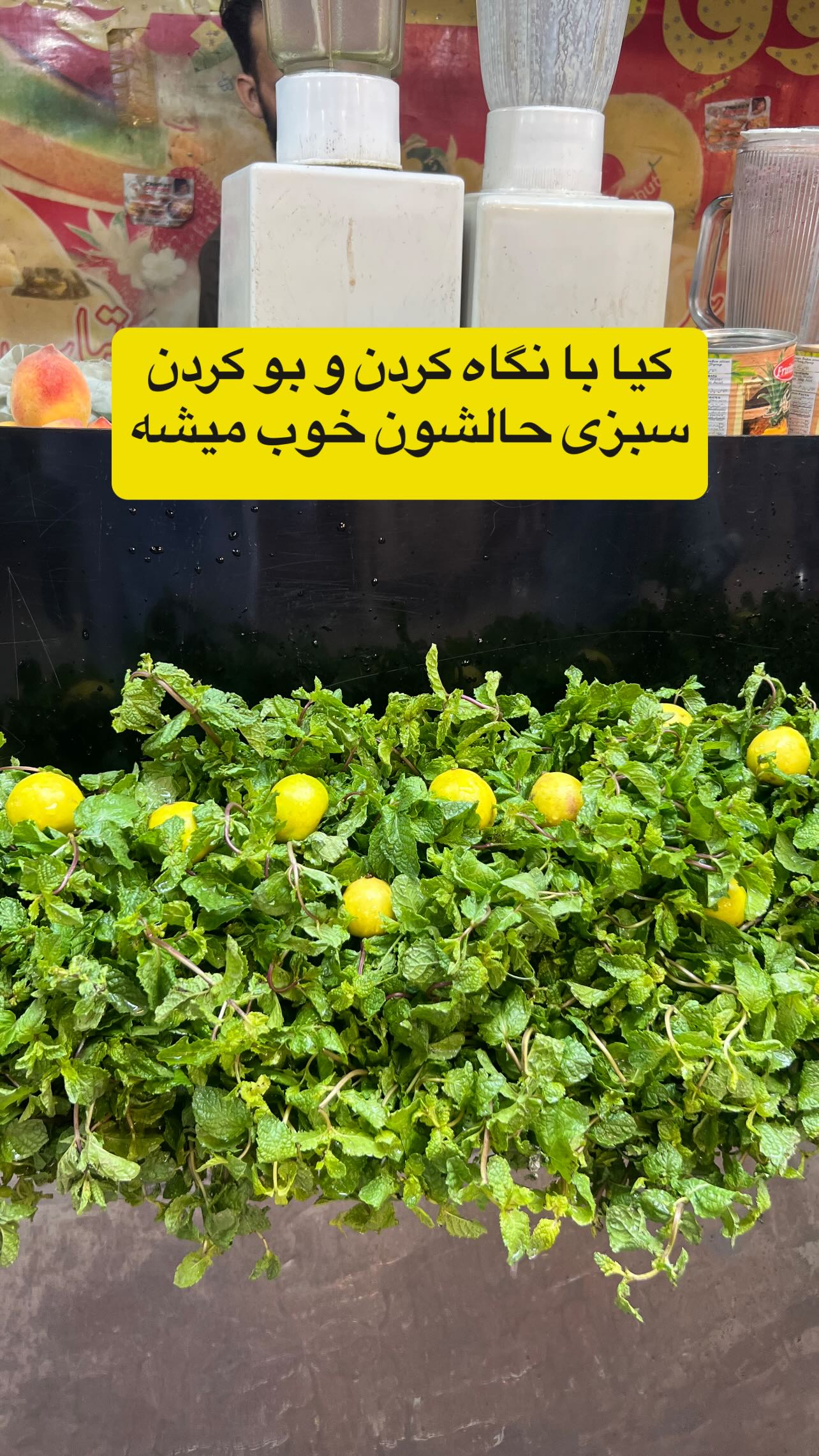  جدید ترین استوری اینستاگرام صفی صافی