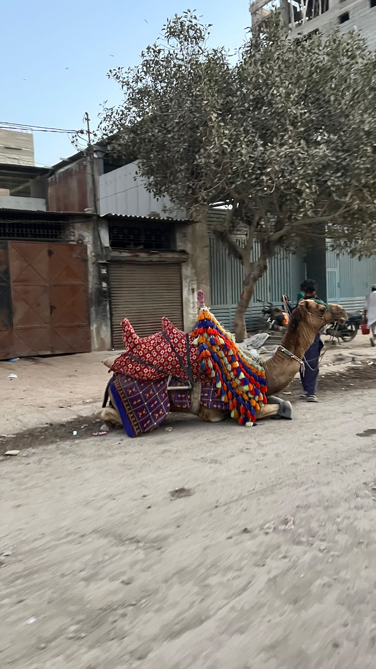  جدید ترین استوری اینستاگرام صفی صافی