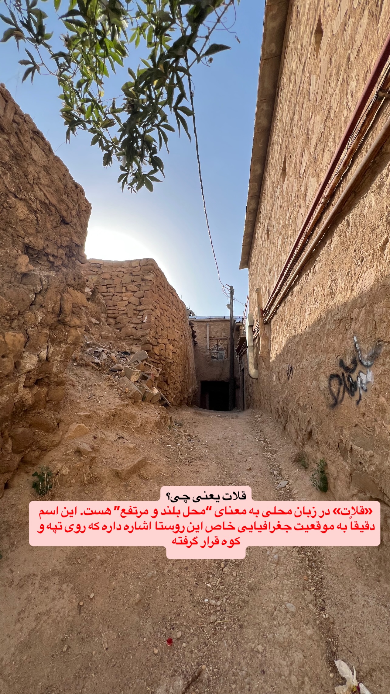  جدید ترین استوری اینستاگرام صفی صافی