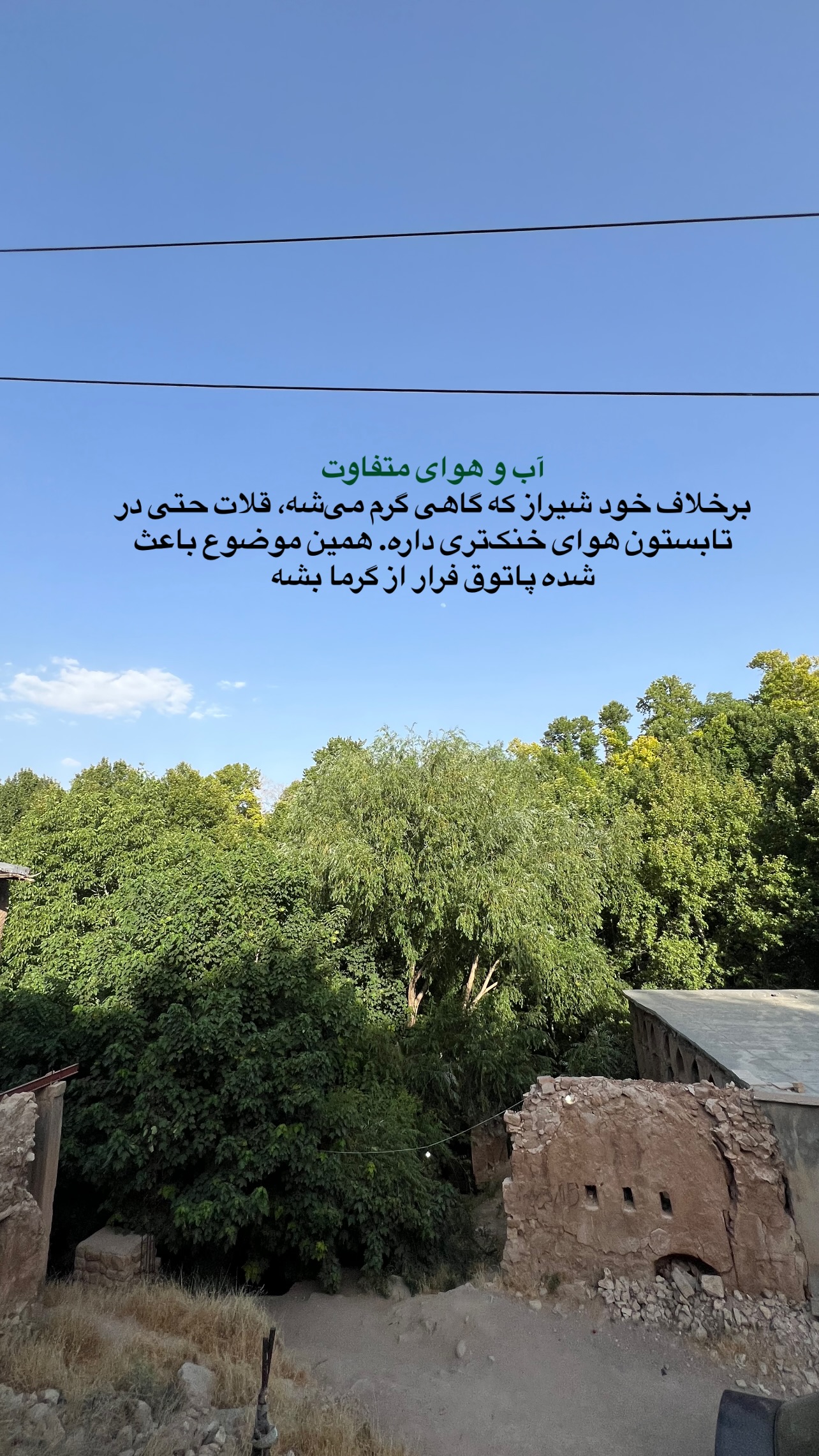  جدید ترین استوری اینستاگرام صفی صافی