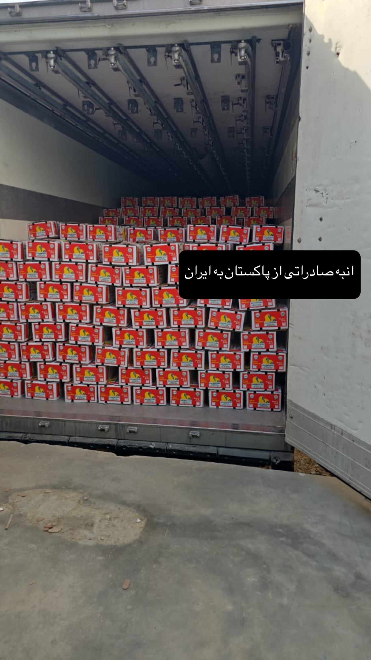  جدید ترین استوری اینستاگرام صفی صافی