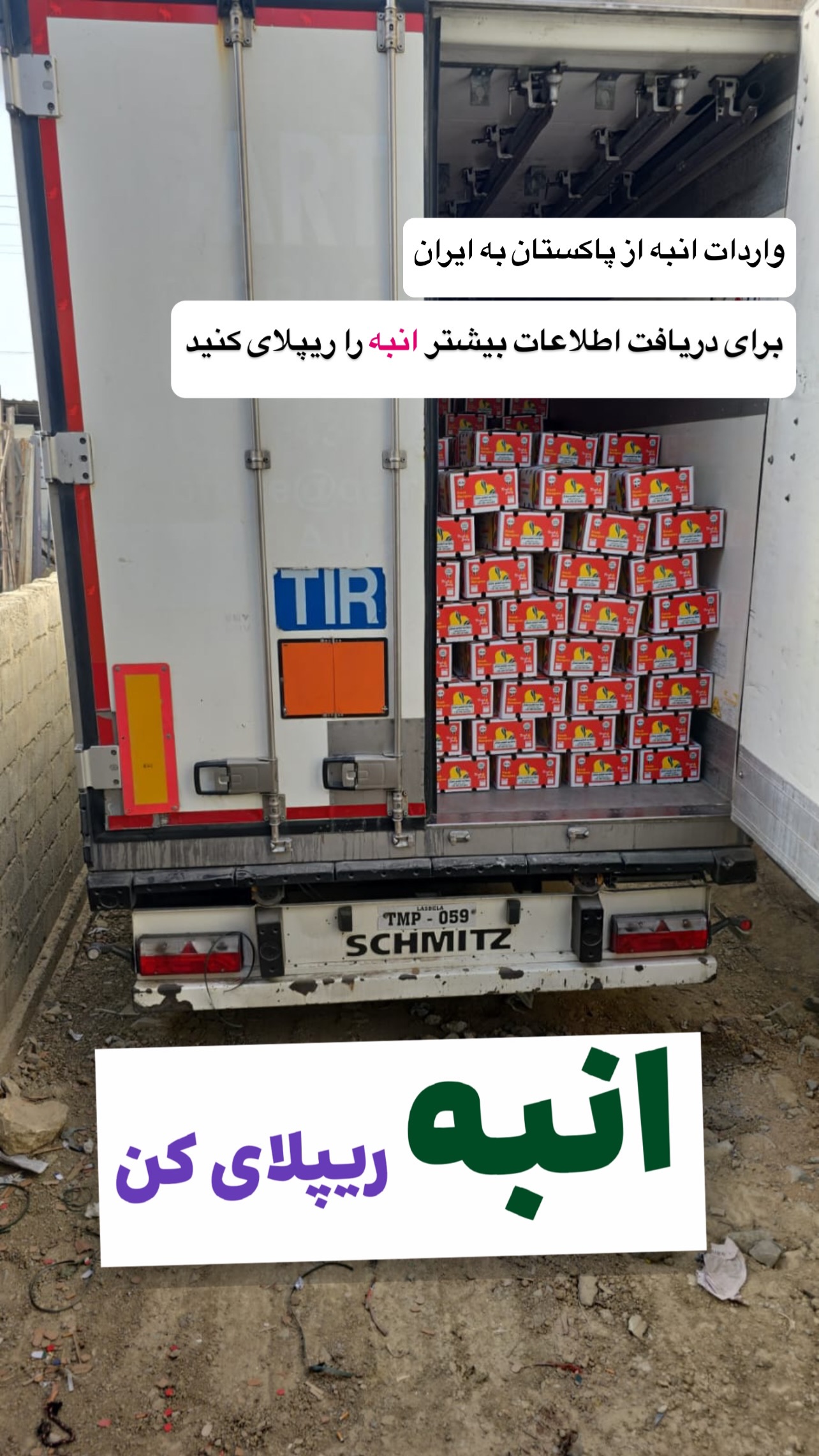  جدید ترین استوری اینستاگرام صفی صافی
