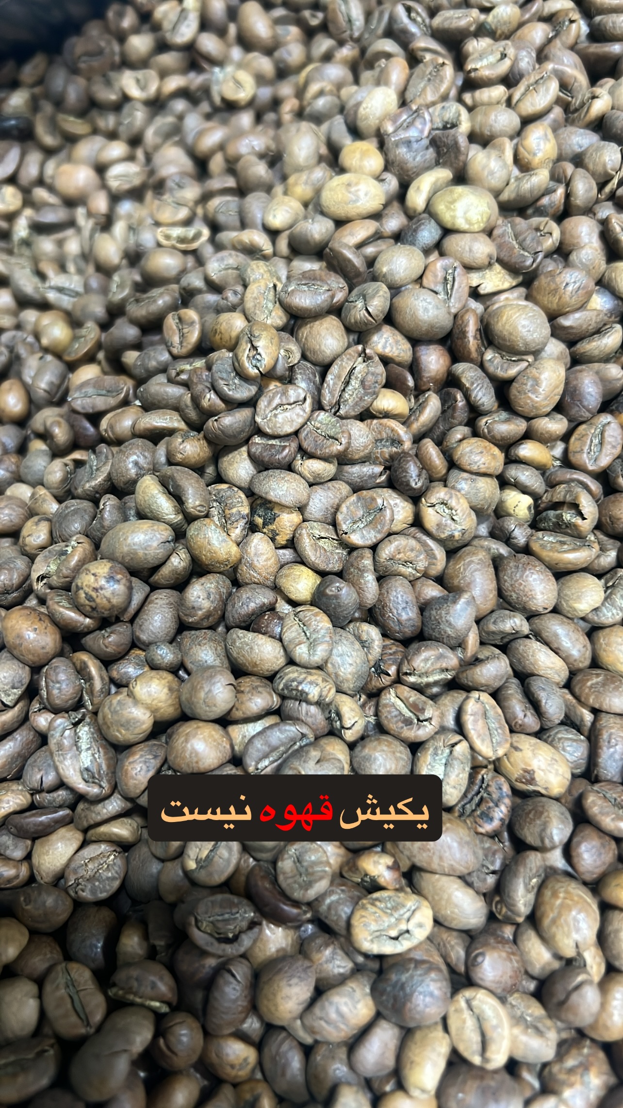  جدید ترین استوری اینستاگرام صفی صافی