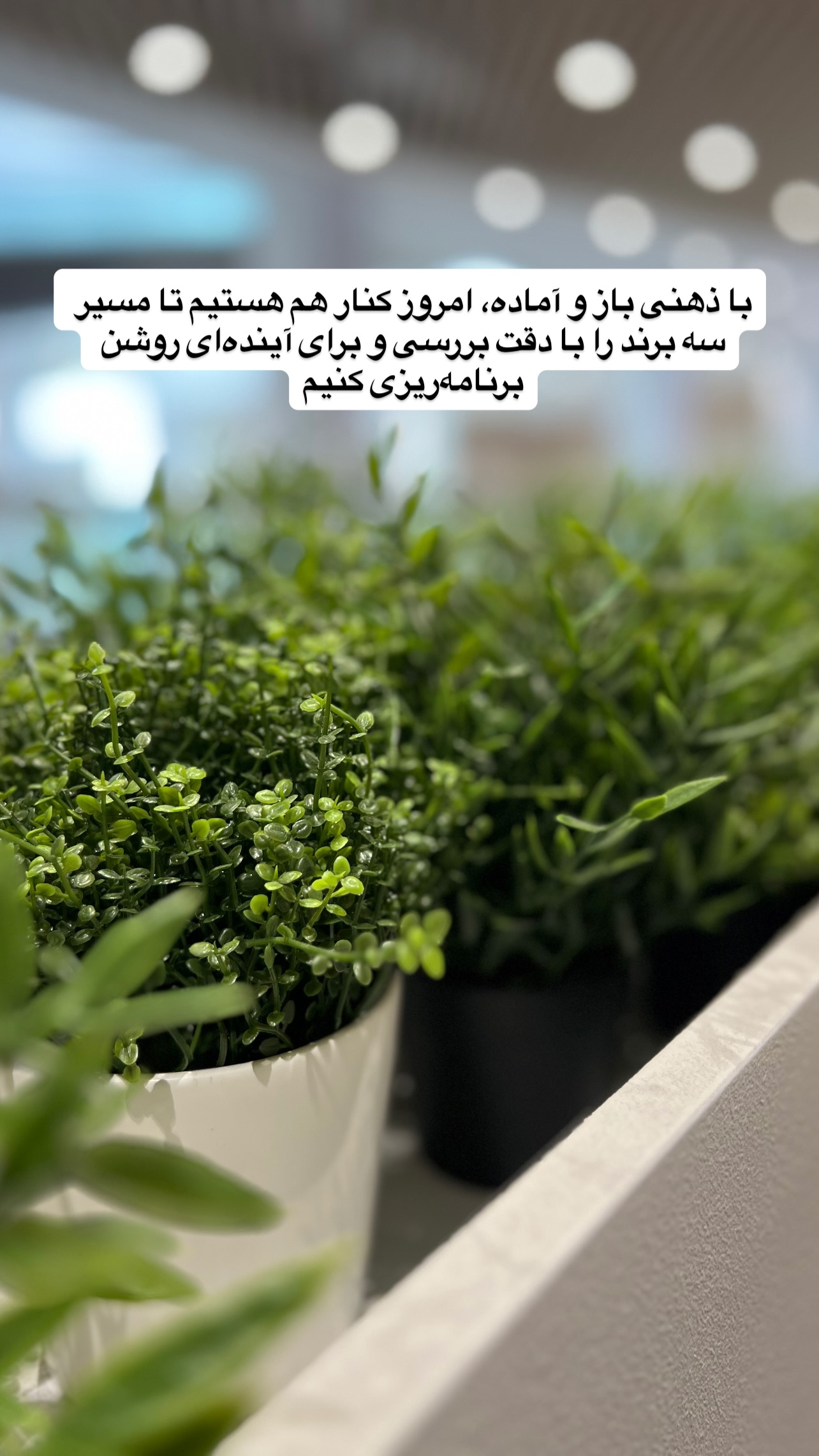  جدید ترین استوری اینستاگرام صفی صافی