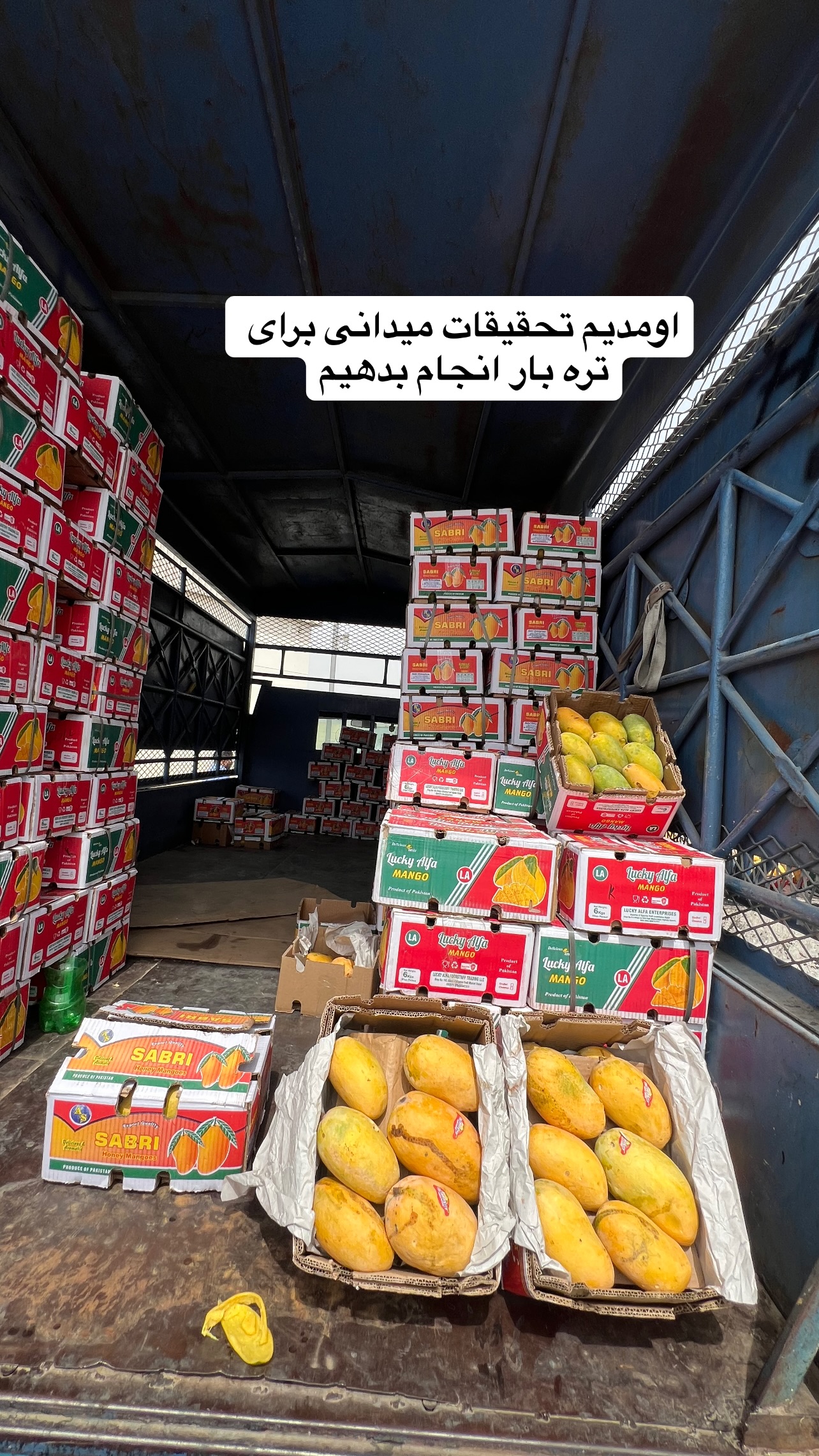  جدید ترین استوری اینستاگرام صفی صافی