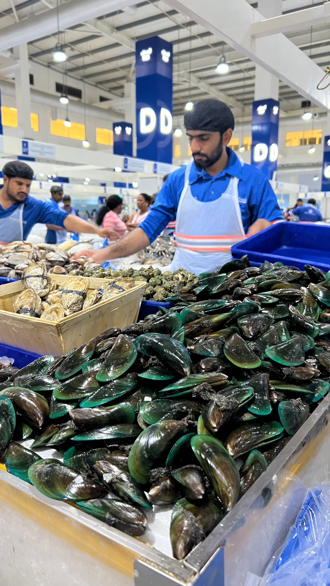  جدید ترین استوری اینستاگرام صفی صافی