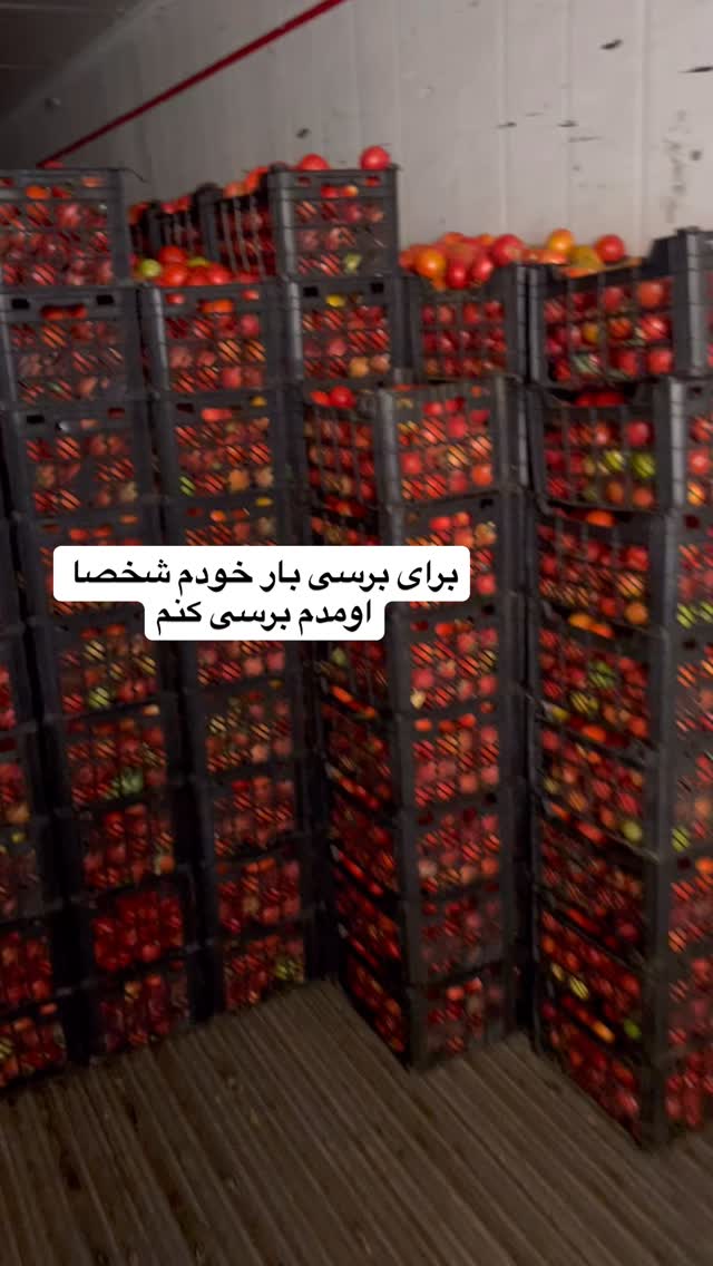 جدید ترین استوری اینستاگرام صفی صافی