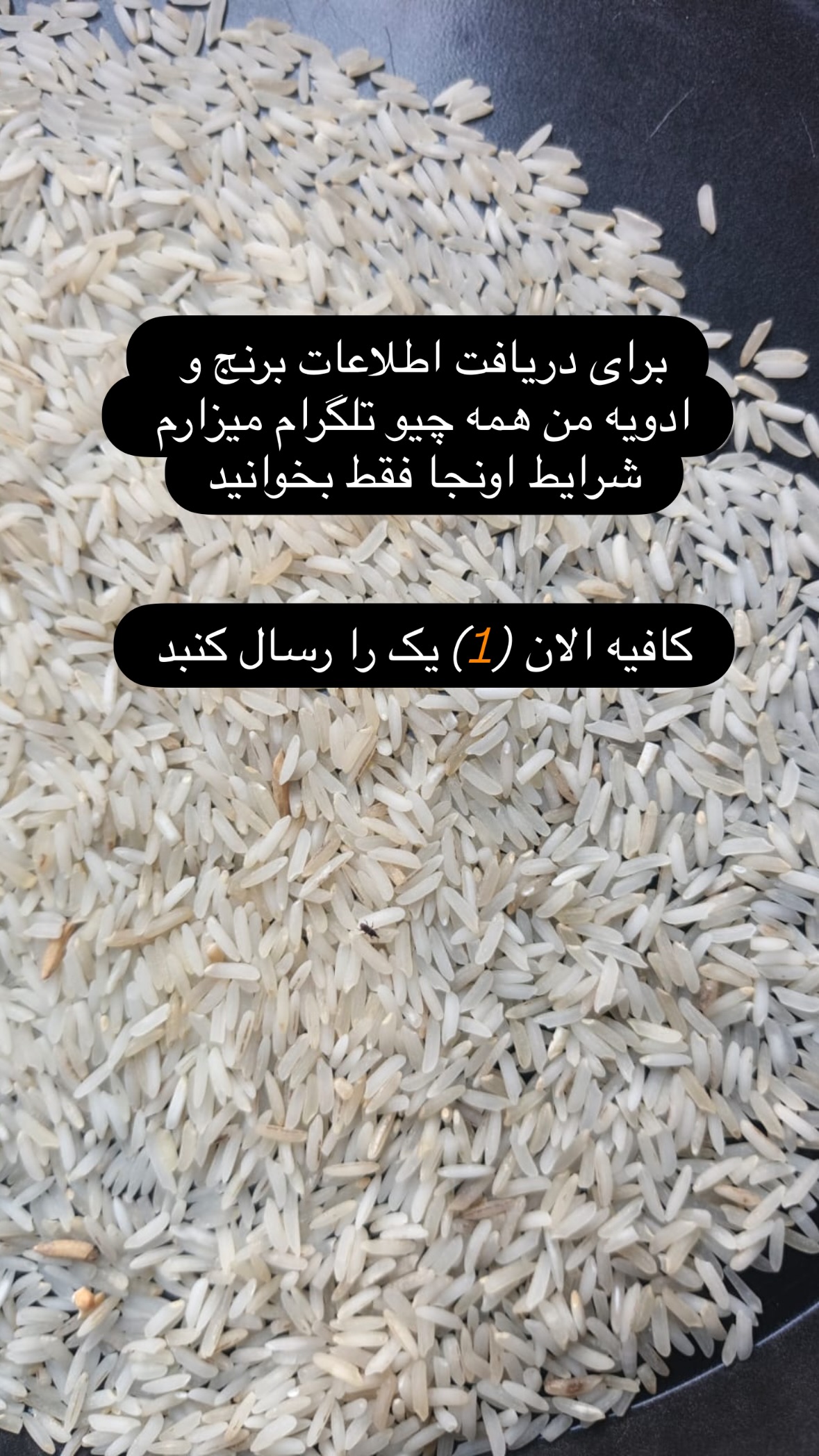  جدید ترین استوری اینستاگرام صفی صافی