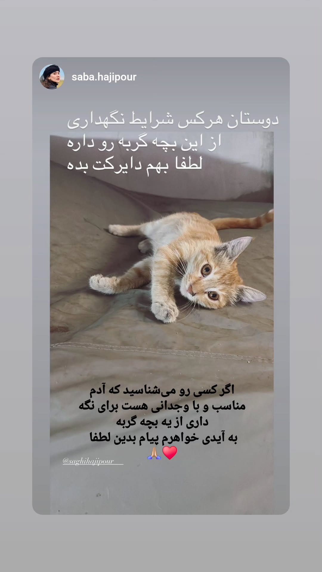  جدید ترین استوری اینستاگرام ساقی حاجی پور