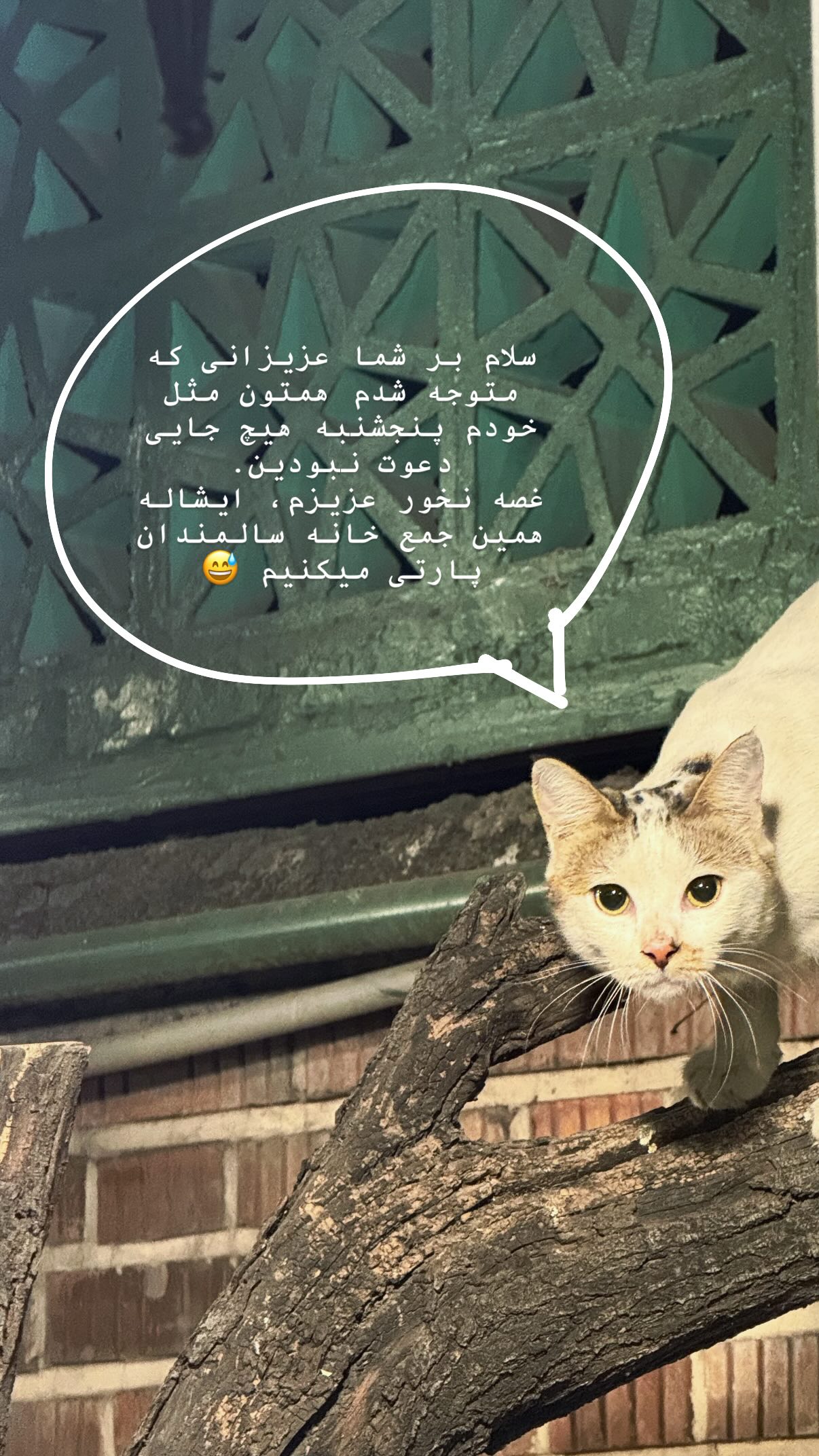  جدید ترین استوری اینستاگرام سحر صبحانی