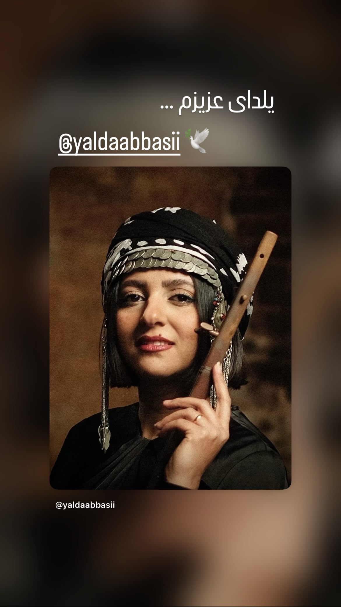 جدید ترین استوری اینستاگرام سحر محمدی بروجردی