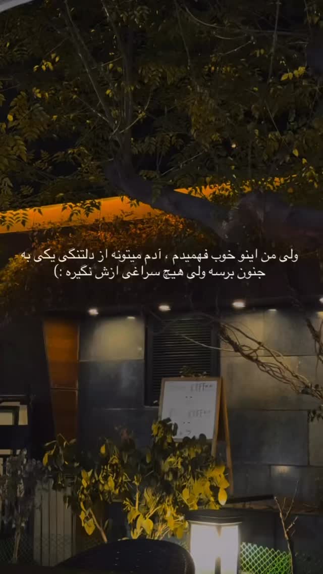  جدید ترین استوری اینستاگرام سحر شف