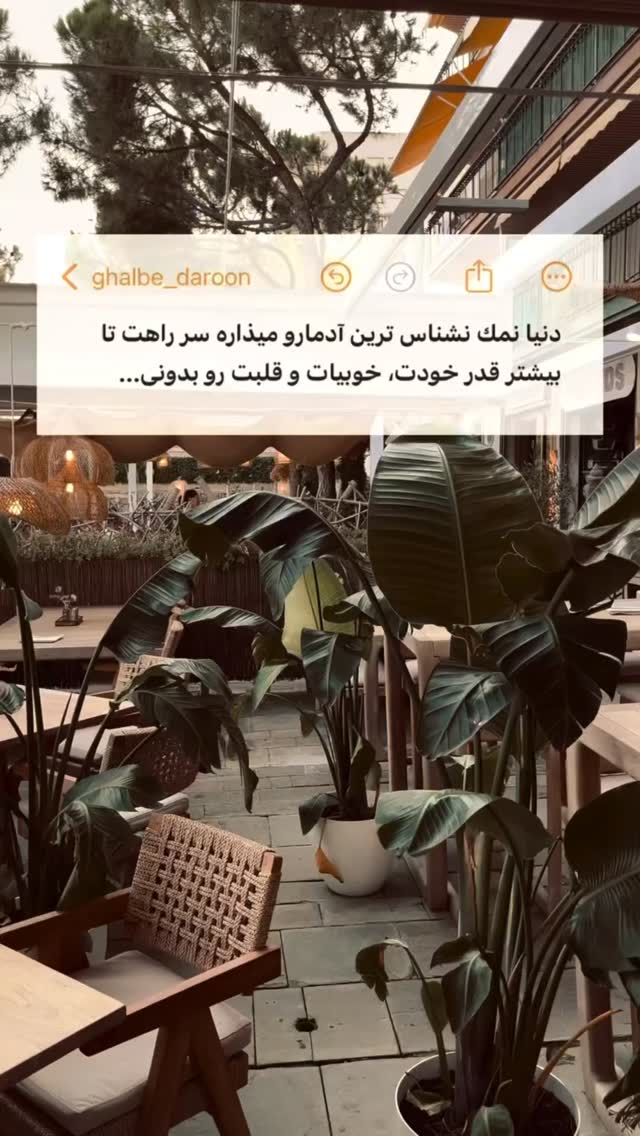  جدید ترین استوری اینستاگرام سحر شف