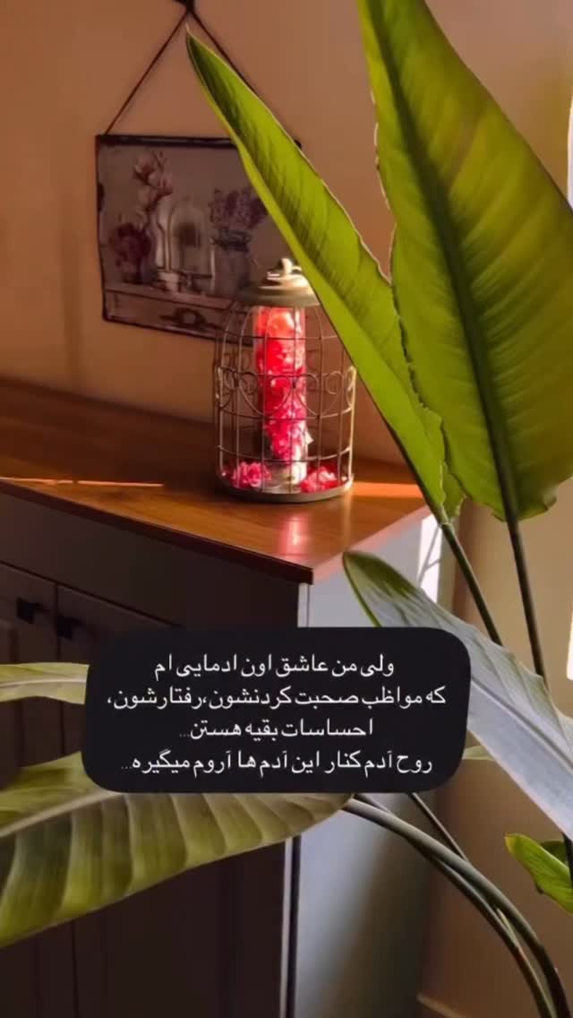  جدید ترین استوری اینستاگرام سحر شف