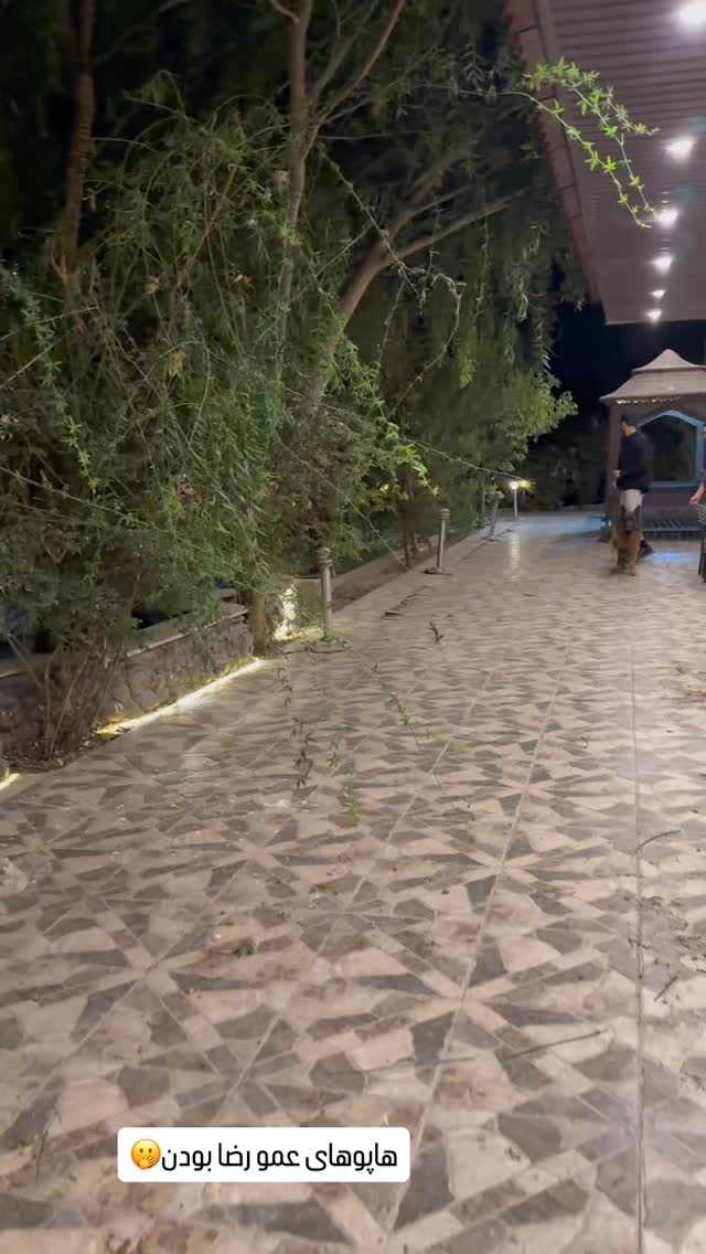  جدید ترین استوری اینستاگرام سحر شف