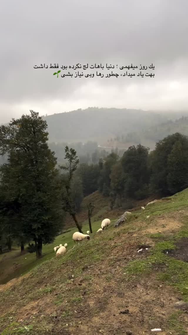  جدید ترین استوری اینستاگرام سحر شف