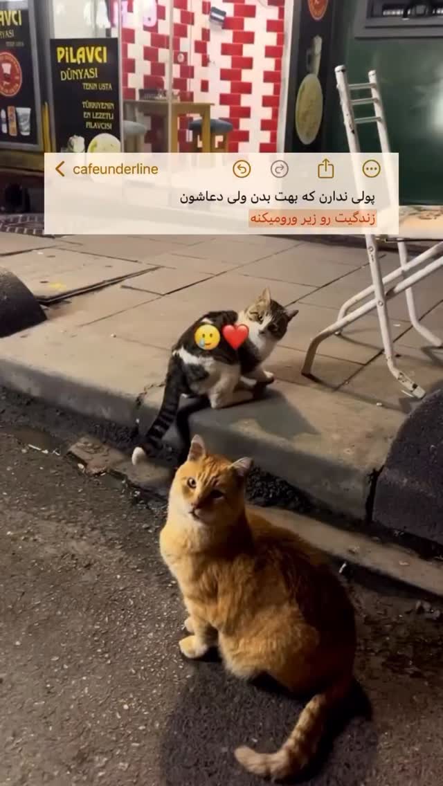  جدید ترین استوری اینستاگرام سحر شف