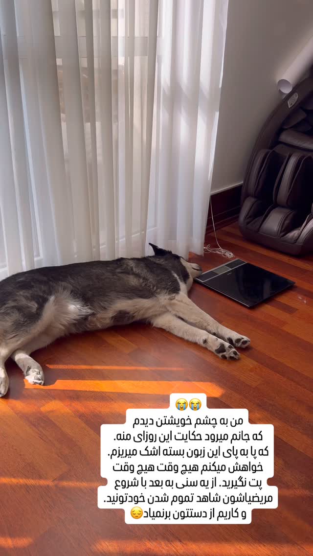  جدید ترین استوری اینستاگرام سحر شف