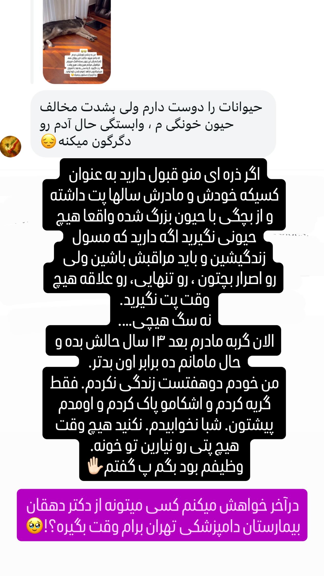  جدید ترین استوری اینستاگرام سحر شف