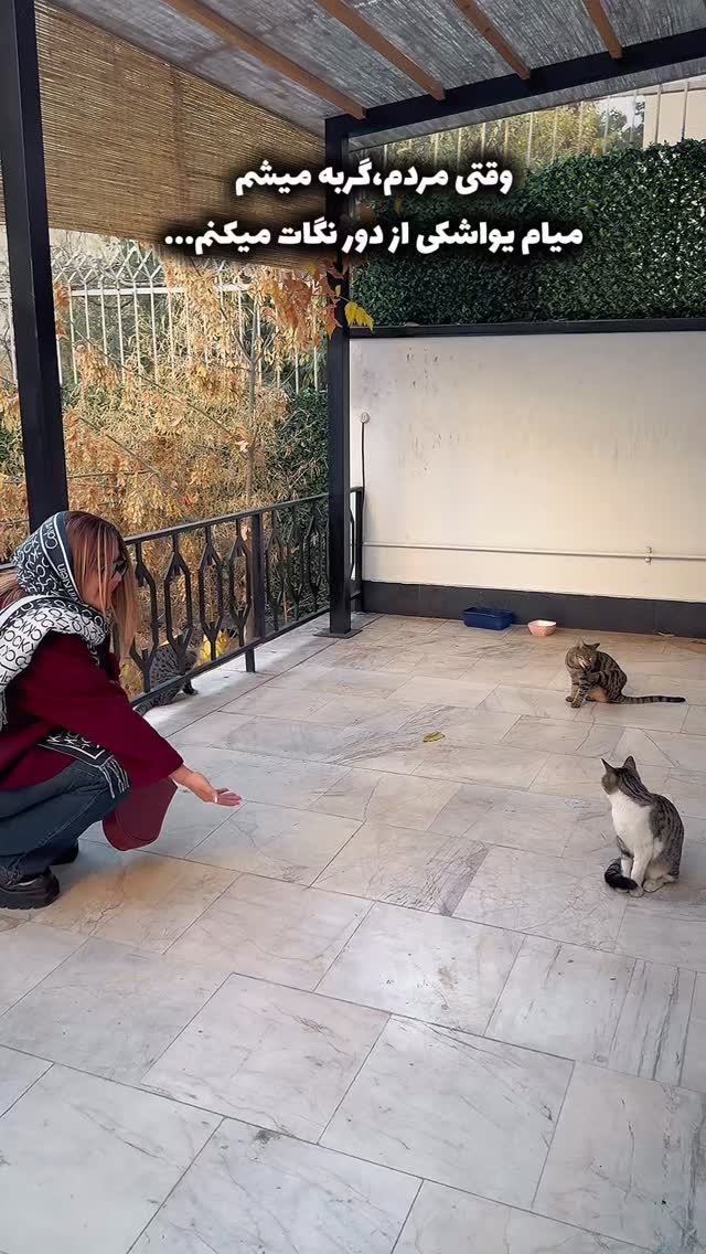  جدید ترین استوری اینستاگرام سحر شف