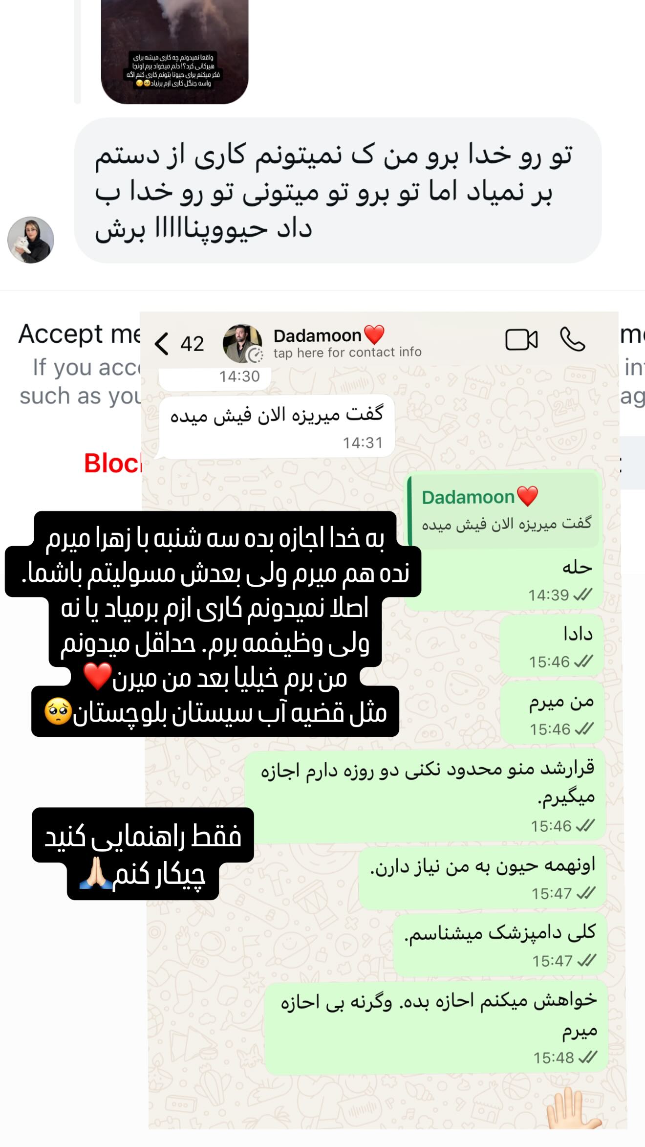  جدید ترین استوری اینستاگرام سحر شف