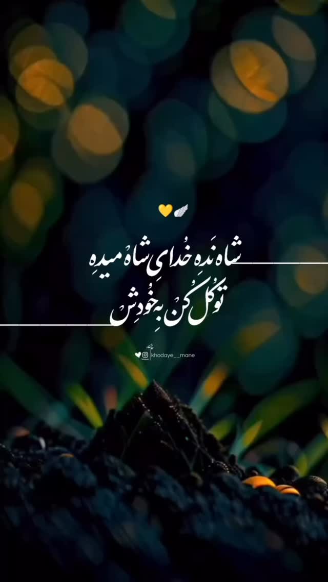  جدید ترین استوری اینستاگرام سحر شف