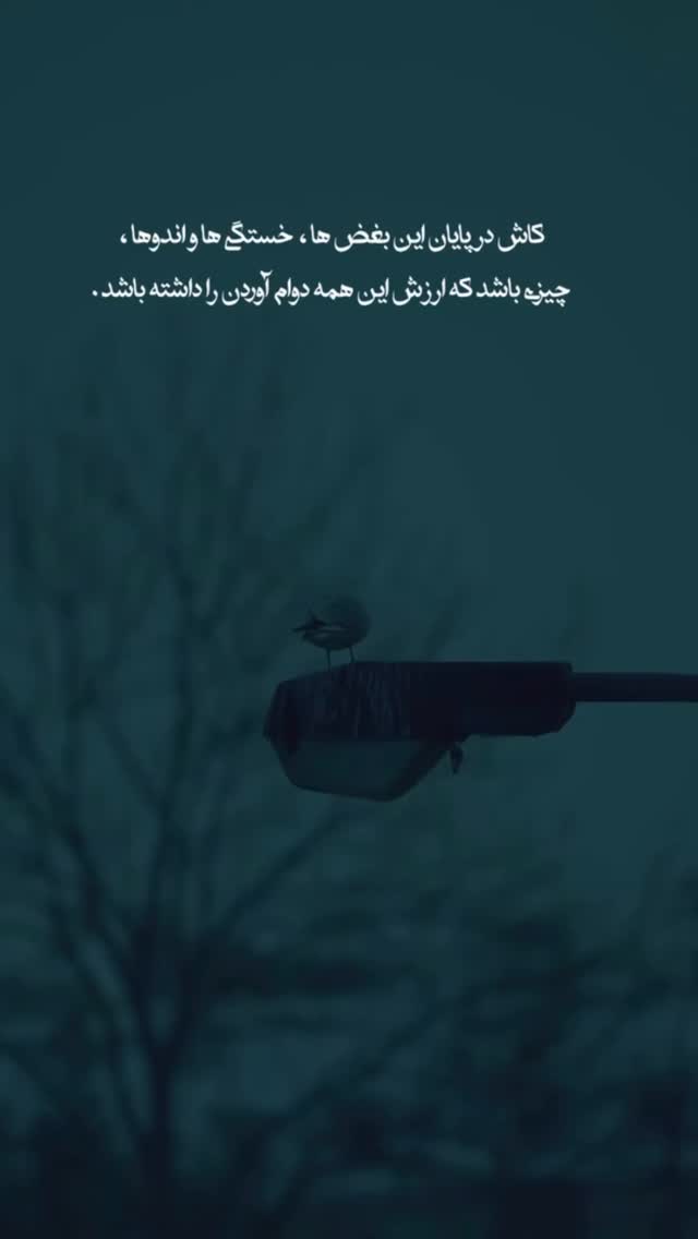  جدید ترین استوری اینستاگرام سحر شف