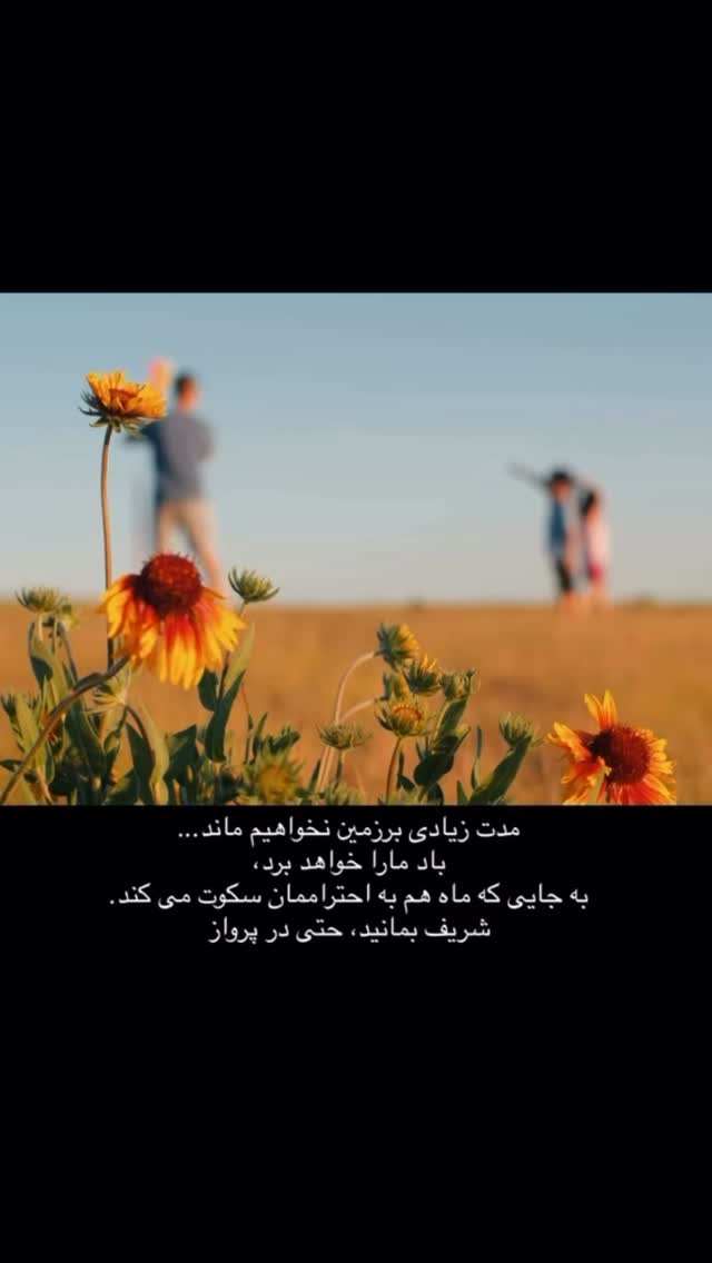  جدید ترین استوری اینستاگرام سحر شف