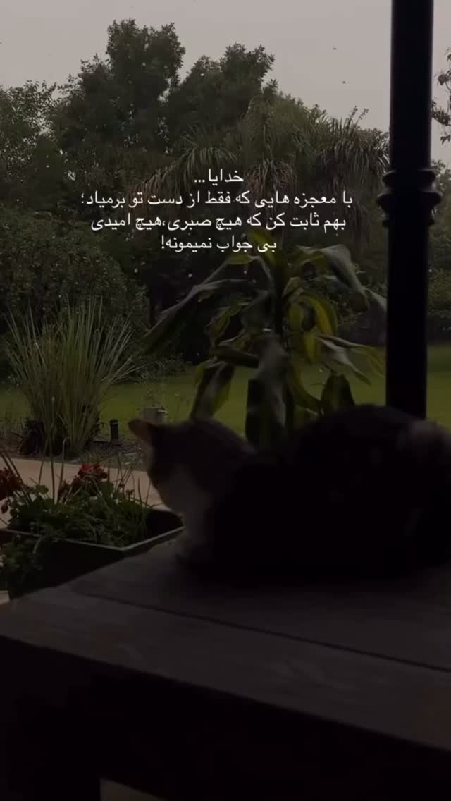  جدید ترین استوری اینستاگرام سحر شف