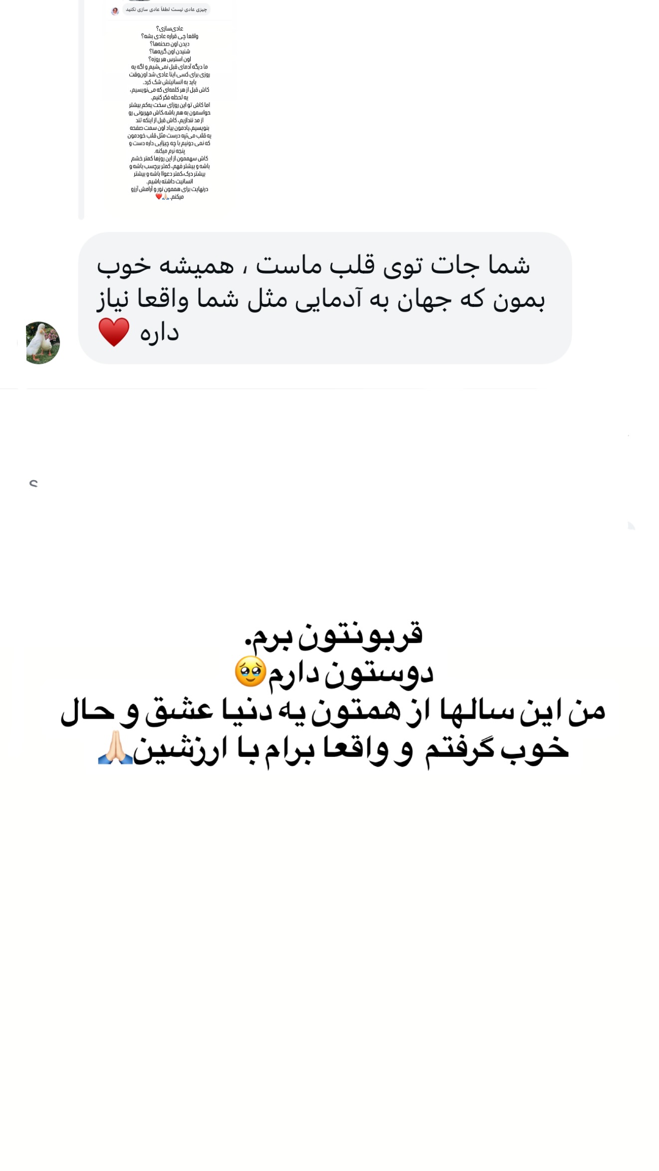  جدید ترین استوری اینستاگرام سحر شف